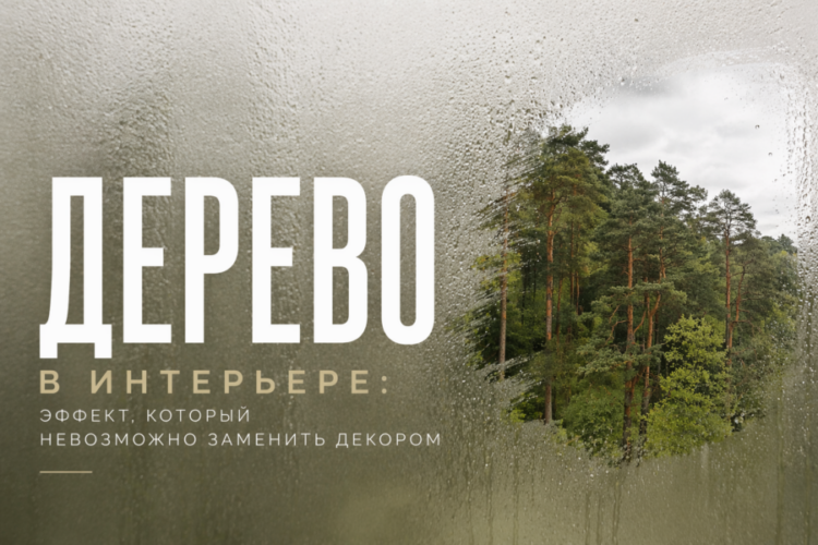 дерево в интерьере мнение дизайнера